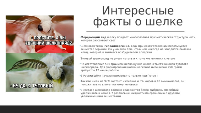 Интересные факты о шелке Мерцающий вид  шелку придает многослойная призматическая структура нити, которая рассеивает свет Шелковая ткань  гипоаллергенна , ведь при ее изготовлении используется вещество серицин. Он уникален тем, что в нем никогда не заводится пылевой клещ, который и является возбудителем аллергии   Тутовый шелкопряд не умеет летать и к тому же является слепым На изготовление 500 граммов шелка нужно около 3 тысяч коконов тутового шелкопряда. Для формирования мотка шелковой нити весом 250 грамм требуется 12 часов работы В России шёлк начали производить только при Петре I Так как шелк на 97% состоит из белков и 3% жиров и 18 аминокислот, он положительно влияет на кожу человека В составе шелкового волокна содержится белок фиброин, способный удерживать в коже в 7 раз больше жидкости по сравнению с другими увлажняющими веществами     