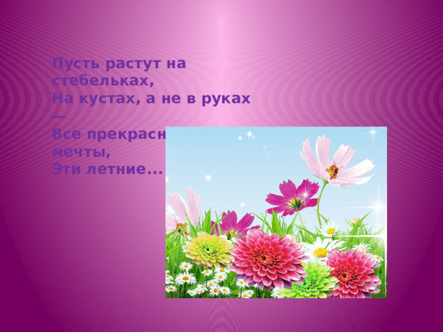 Пусть растут на стебельках, На кустах, а не в руках — Все прекрасны, как мечты, Эти летние... 
