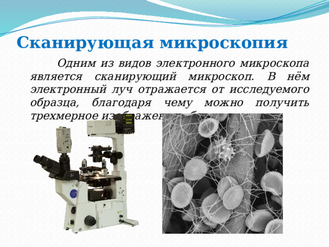 Сканирующая микроскопия  Одним из видов электронного микроскопа является сканирующий микроскоп. В нём электронный луч отражается от исследуемого образца, благодаря чему можно получить трехмерное изображение объекта. 