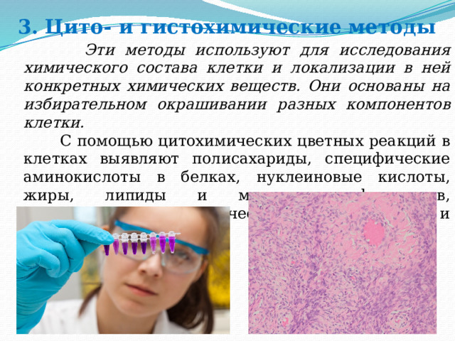 3. Цито- и гистохимические методы  Эти методы используют для исследования химического состава клетки и локализации в ней конкретных химических веществ. Они основаны на избирательном окрашивании разных компонентов клетки.  С помощью цитохимических цветных реакций в клетках выявляют полисахариды, специфические аминокислоты в белках, нуклеиновые кислоты, жиры, липиды и множество ферментов, участвующих в метаболических процессах обмена и превращения веществ.  