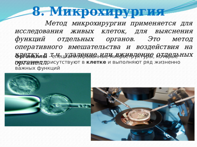 8. Микрохирургия  Метод микрохирургии применяется для исследования живых клеток, для выяснения функций отдельных органов. Это метод оперативного вмешательства и воздействия на клетку, в т.ч. удаление или вживление отдельных органелл.  Органеллы  - специализированные микроструктуры, которые постоянно присутствуют в  клетке  и выполняют ряд жизненно важных функций 