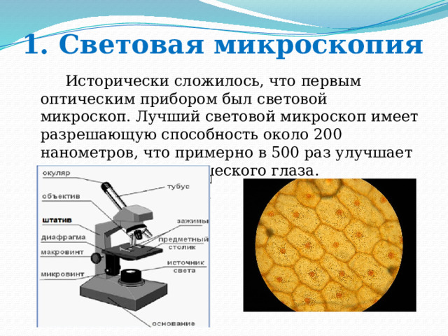 1. Световая микроскопия  Исторически сложилось, что первым оптическим прибором был световой микроскоп. Лучший световой микроскоп имеет разрешающую способность около 200 нанометров, что примерно в 500 раз улучшает возможности человеческого глаза. 