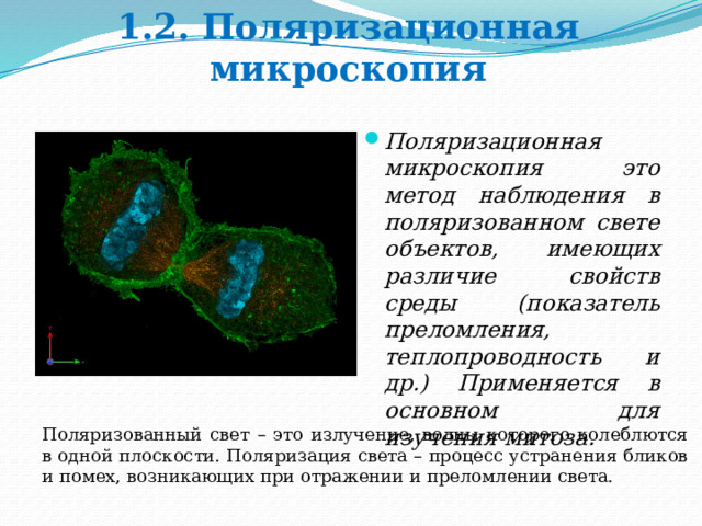 1.2. Поляризационная микроскопия Поляризационная микроскопия это метод наблюдения в поляризованном свете объектов, имеющих различие свойств среды (показатель преломления, теплопроводность и др.) Применяется в основном для изучения митоза. Поляризованный свет – это излучение, волны которого колеблются в одной плоскости. Поляризация света – процесс устранения бликов и помех, возникающих при отражении и преломлении света. 