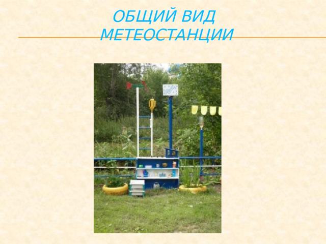 Общий вид  МЕТЕОСТАНЦИИ 