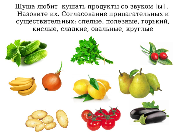Шуша любит кушать продукты со звуком [ы] . Назовите их. Согласование прилагательных и существительных: спелые, полезные, горький, кислые, сладкие, овальные, круглые 