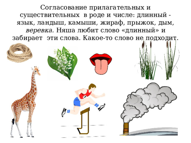 Согласование прилагательных и существительных в роде и числе: длинный - язык, ландыш, камыши, жираф, прыжок, дым, веревка. Няша любит слово «длинный» и забирает эти слова. Какое-то слово не подходит. 