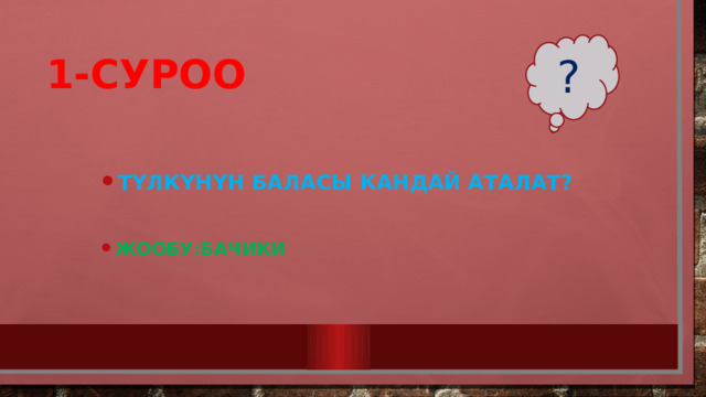 ? 1-СУРОО ТҮЛКҮНҮН БАЛАСЫ КАНДАЙ АТАЛАТ? ТҮЛКҮНҮН БАЛАСЫ КАНДАЙ АТАЛАТ? ТҮЛКҮНҮН БАЛАСЫ КАНДАЙ АТАЛАТ?  Жообу:Бачики Жообу:Бачики Жообу:Бачики  