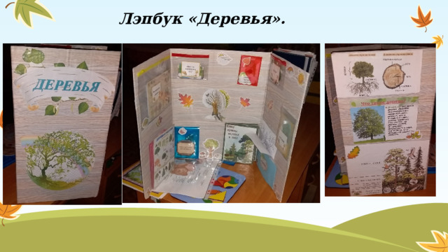 Лэпбук «Деревья».  
