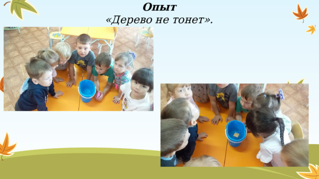 Опыт «Дерево не тонет».  