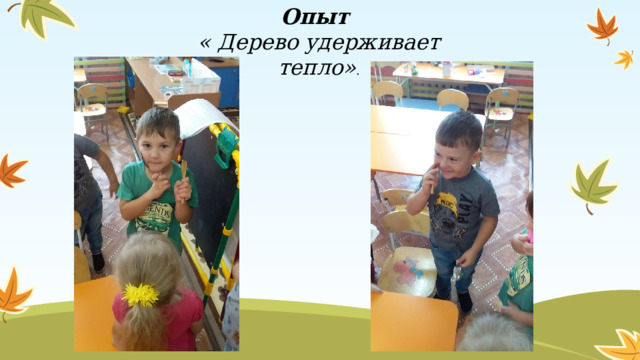Опыт « Дерево удерживает тепло» .  