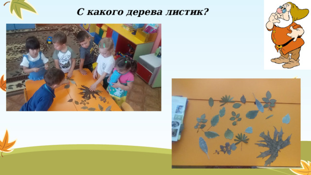 С какого дерева листик?  