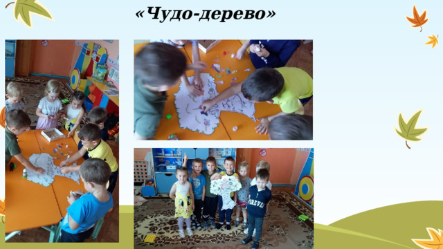 «Чудо-дерево»  