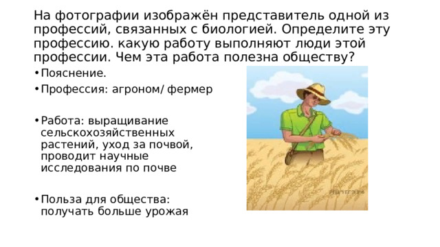  На фотографии изображён представитель одной из профессий, связанных с биологией. Определите эту профессию. какую работу выполняют люди этой профессии. Чем эта работа полезна обществу?   Пояснение. Профессия: агроном/ фермер Работа: выращивание сельскохозяйственных растений, уход за почвой, проводит научные исследования по почве Польза для общества: получать больше урожая 