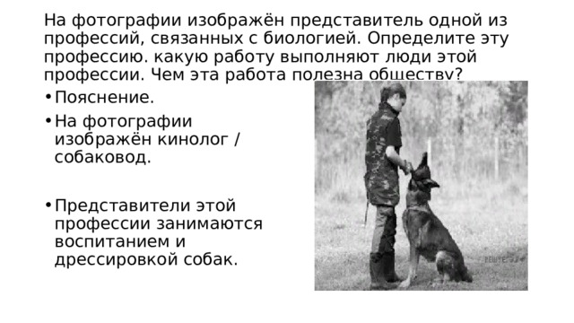  На фотографии изображён представитель одной из профессий, связанных с биологией. Определите эту профессию. какую работу выполняют люди этой профессии. Чем эта работа полезна обществу?   Пояснение. На фотографии изображён кинолог / собаковод. Представители этой профессии занимаются воспитанием и дрессировкой собак. 