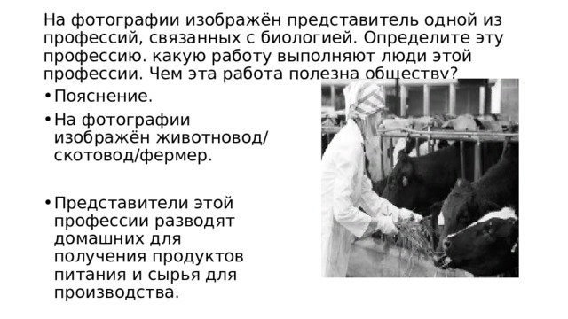  На фотографии изображён представитель одной из профессий, связанных с биологией. Определите эту профессию. какую работу выполняют люди этой профессии. Чем эта работа полезна обществу?   Пояснение. На фотографии изображён животновод/скотовод/фермер. Представители этой профессии разводят домашних для получения продуктов питания и сырья для производства. 