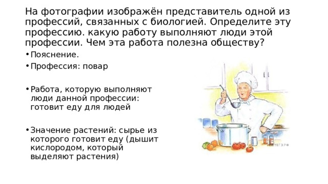  На фотографии изображён представитель одной из профессий, связанных с биологией. Определите эту профессию. какую работу выполняют люди этой профессии. Чем эта работа полезна обществу?   Пояснение. Профессия: повар Работа, которую выполняют люди данной профессии: готовит еду для людей Значение растений: сырье из которого готовит еду (дышит кислородом, который выделяют растения) 