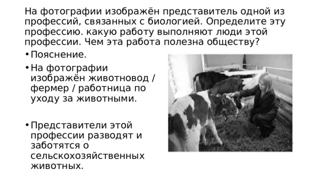 На фотографии изображён представитель одной из профессий, связанных с биологией. Определите эту профессию. какую работу выполняют люди этой профессии. Чем эта работа полезна обществу?   Пояснение. На фотографии изображён животновод / фермер / работница по уходу за животными. Представители этой профессии разводят и заботятся о сельскохозяйственных животных. 