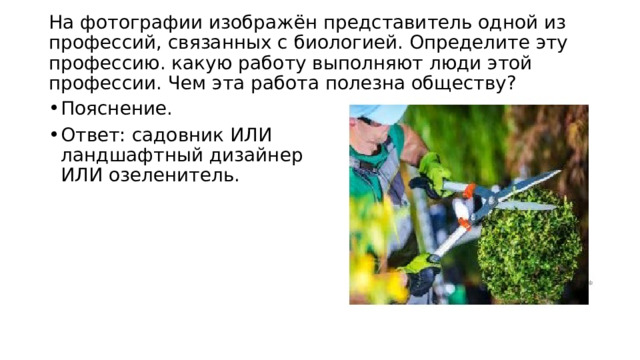  На фотографии изображён представитель одной из профессий, связанных с биологией. Определите эту профессию. какую работу выполняют люди этой профессии. Чем эта работа полезна обществу?   Пояснение. Ответ: садовник ИЛИ ландшафтный дизайнер ИЛИ озеленитель. 