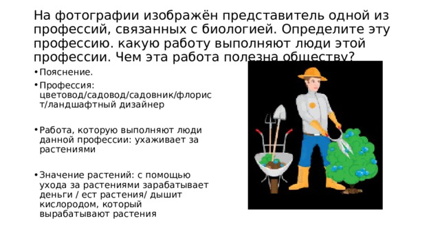  На фотографии изображён представитель одной из профессий, связанных с биологией. Определите эту профессию. какую работу выполняют люди этой профессии. Чем эта работа полезна обществу?   Пояснение. Профессия: цветовод/садовод/садовник/флорист/ландшафтный дизайнер Работа, которую выполняют люди данной профессии: ухаживает за растениями Значение растений: с помощью ухода за растениями зарабатывает деньги / ест растения/ дышит кислородом, который вырабатывают растения 