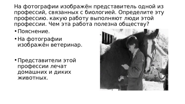  На фотографии изображён представитель одной из профессий, связанных с биологией. Определите эту профессию. какую работу выполняют люди этой профессии. Чем эта работа полезна обществу?   Пояснение. На фотографии изображён ветеринар. Представители этой профессии лечат домашних и диких животных. 