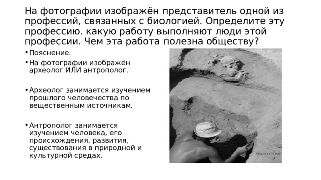  На фотографии изображён представитель одной из профессий, связанных с биологией. Определите эту профессию. какую работу выполняют люди этой профессии. Чем эта работа полезна обществу?   Пояснение. На фотографии изображён археолог ИЛИ антрополог. Археолог занимается изучением прошлого человечества по вещественным источникам. Антрополог занимается изучением человека, его происхождения, развития, существования в природной и культурной средах. 