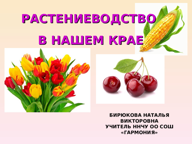 РАСТЕНИЕВОДСТВО В НАШЕМ КРАЕ БИРЮКОВА НАТАЛЬЯ ВИКТОРОВНА  УЧИТЕЛЬ ННЧУ ОО СОШ «ГАРМОНИЯ»   