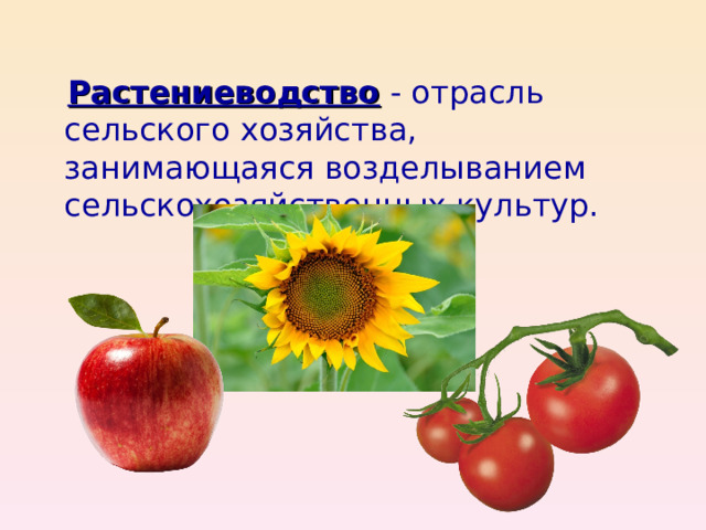  Растениеводство - отрасль сельского хозяйства, занимающаяся возделыванием сельскохозяйственных культур.  