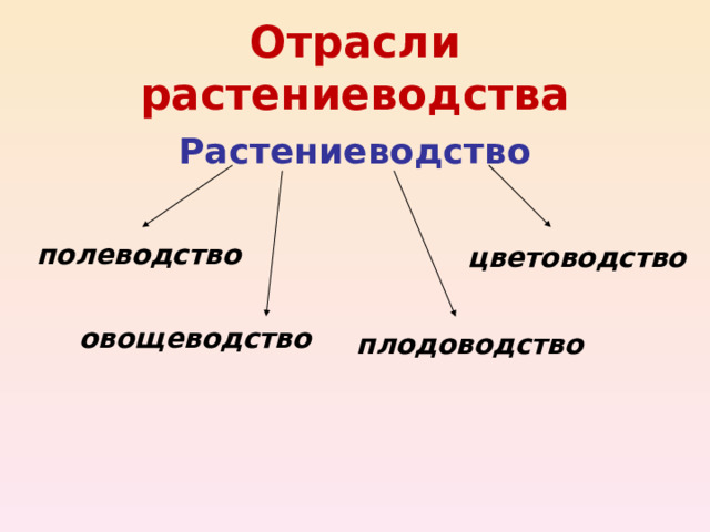 Отрасли растениеводства Растениеводство полеводство цветоводство овощеводство плодоводство 