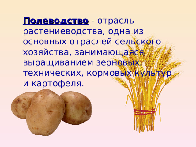 Полеводство - отрасль растениеводства, одна из основных отраслей сельского хозяйства, занимающаяся выращиванием зерновых, технических, кормовых культур и картофеля. 