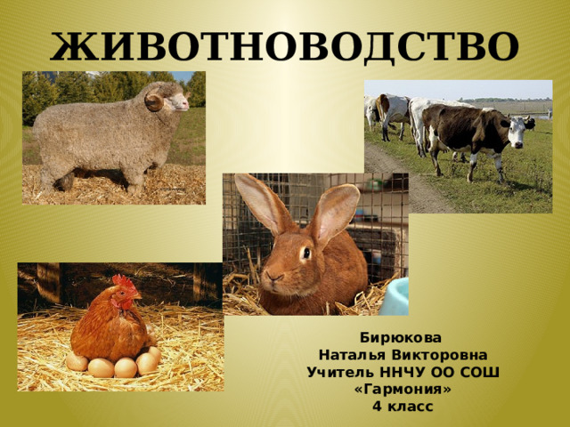 ЖИВОТНОВОДСТВО Бирюкова  Наталья Викторовна  Учитель ННЧУ ОО СОШ «Гармония»  4 класс 