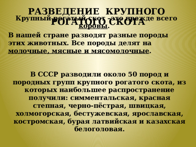 Разведение крупного рогатого скота Крупный рогатый скот –это прежде всего коровы . В нашей стране разводят разные породы этих животных. Все породы делят на молочные, мясные и мясомолочные .   В СССР разводили около 50 пород и породных групп крупного рогатого скота, из которых наибольшее распространение получили: симментальская, красная степная, черно-пёстрая, швицкая, холмогорская, бестужевская, ярославская, костромская, бурая латвийская и казахская белоголовая. 