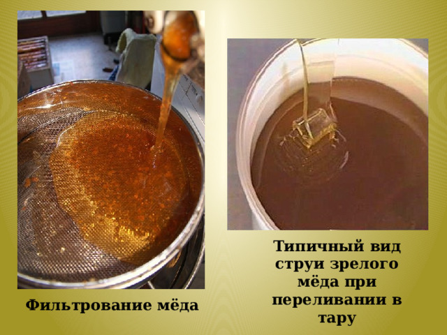 Типичный вид струи зрелого мёда при переливании в тару Фильтрование мёда 