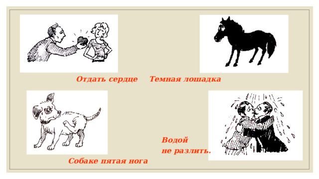 Отдать сердце Темная лошадка Водой не разлить. Собаке пятая нога 