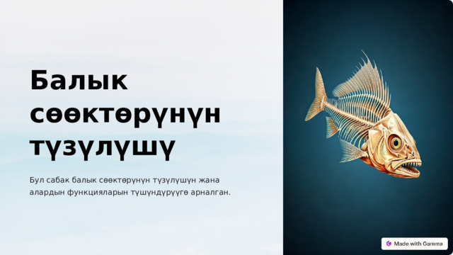 Балык сөөктөрүнүн түзүлүшү Бул сабак балык сөөктөрүнүн түзүлүшүн жана алардын функцияларын түшүндүрүүгө арналган.  