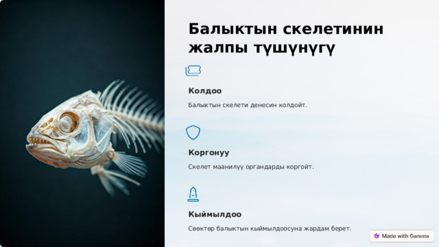 Балыктын скелетинин жалпы түшүнүгү Колдоо Балыктын скелети денесин колдойт. Коргонуу Скелет маанилүү органдарды коргойт. Кыймылдоо Сөөктөр балыктын кыймылдоосуна жардам берет.  