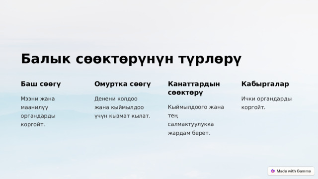Балык сөөктөрүнүн түрлөрү Баш сөөгү Омуртка сөөгү Канаттардын сөөктөрү Кабыргалар Мээни жана маанилүү органдарды коргойт. Денени колдоо жана кыймылдоо үчүн кызмат кылат. Ички органдарды коргойт. Кыймылдоого жана тең салмактуулукка жардам берет.  