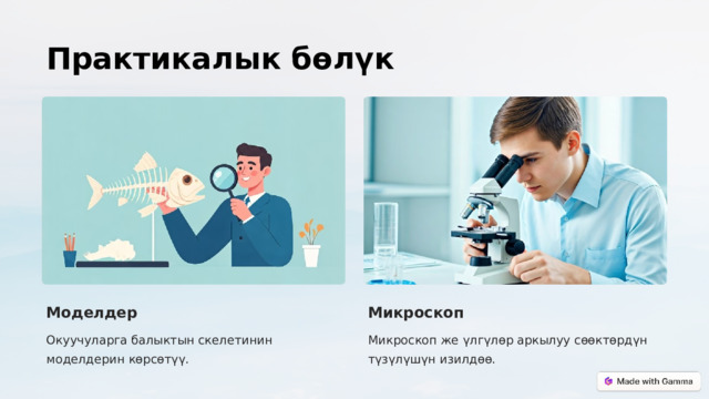 Практикалык бөлүк Моделдер Микроскоп Окуучуларга балыктын скелетинин моделдерин көрсөтүү. Микроскоп же үлгүлөр аркылуу сөөктөрдүн түзүлүшүн изилдөө.  