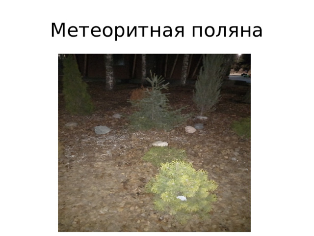 Метеоритная поляна 