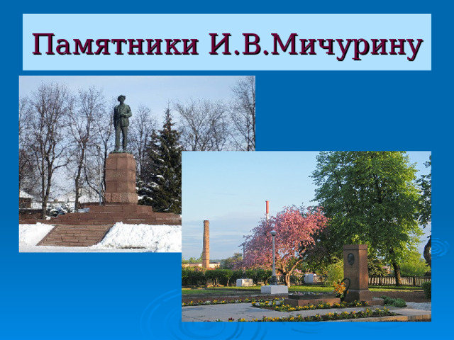 Памятники И.В.Мичурину 