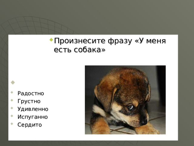 Произнесите фразу «У меня есть собака» Произнесите фразу «У меня есть собака» Произнесите фразу «У меня есть собака» Произнесите фразу «У меня есть собака» Произнесите фразу «У меня есть собака» Радостно Грустно Удивленно Испуганно Сердито 