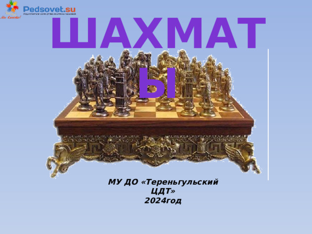 Шахматы  МУ ДО «Тереньгульский ЦДТ» 20 24 год 