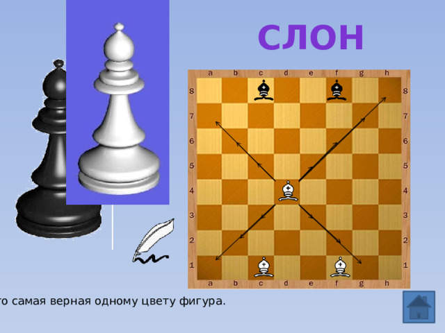 слон Это самая верная одному цвету фигура. 