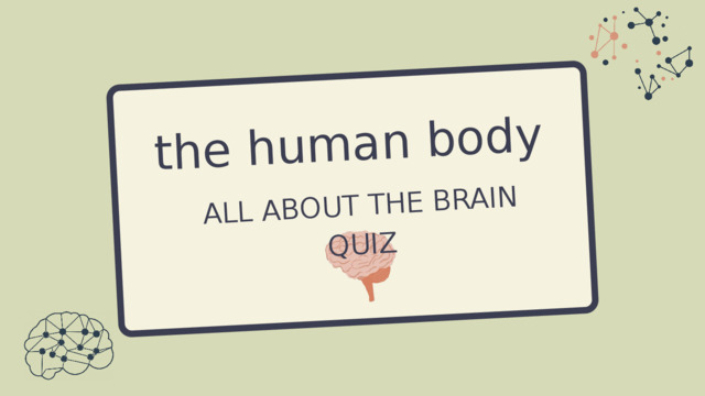 the human body ALL ABOUT THE BRAIN QUIZ 