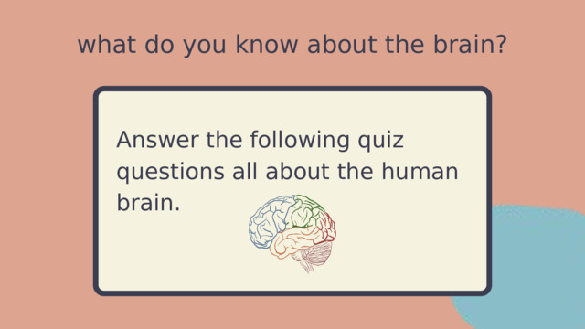 what do you know about the brain? Answer the following quiz questions all about the human brain. 