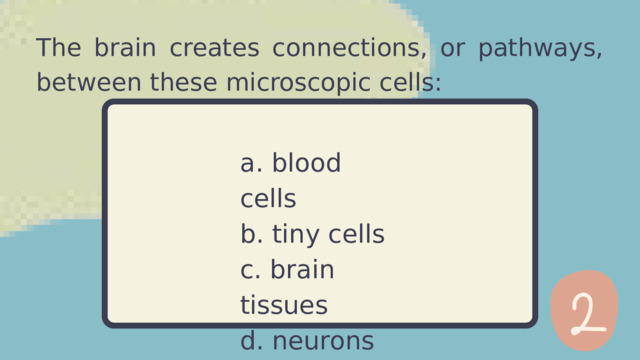 The brain creates connections, or pathways, between these microscopic cells: a. blood cells b. tiny cells c. brain tissues d. neurons 