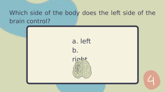 Which side of the body does the left side of the brain control? a. left b. right 