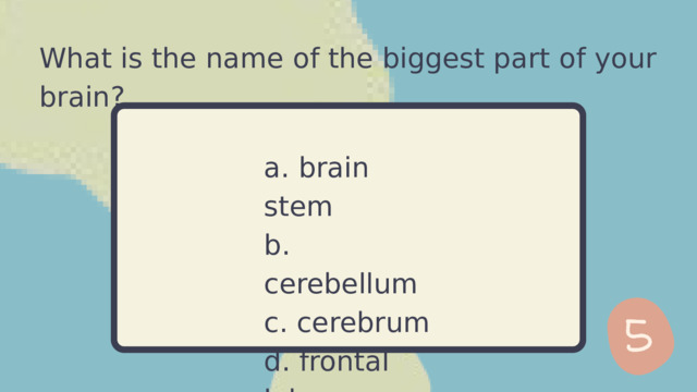 What is the name of the biggest part of your brain? a. brain stem b. cerebellum c. cerebrum d. frontal lobe 
