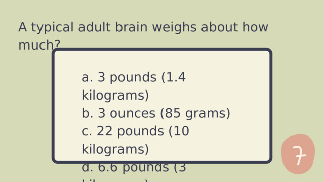 A typical adult brain weighs about how much? a. 3 pounds (1.4 kilograms) b. 3 ounces (85 grams) c. 22 pounds (10 kilograms) d. 6.6 pounds (3 kilograms) 