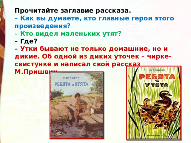 Прочитайте заглавие рассказа. – Как вы думаете, кто главные герои этого произведения? – Кто видел маленьких утят? – Где? – Утки бывают не только домашние, но и дикие. Об одной из диких уточек – чирке-свистунке и написал свой рассказ М.Пришвин. 