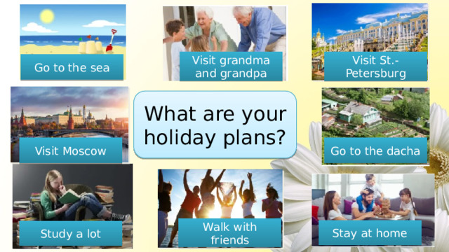 Visit grandma and grandpa Visit St.-Petersburg Go to the sea What are your holiday plans? Visit Moscow Go to the dacha Walk with friends Stay at home Study a lot 